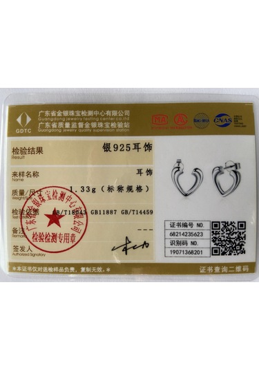 925 Ayar Gümüş Kalp Şeklinde Küpe Hediye Moda Takı