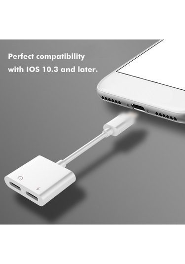 Teltree İphone Kulaklık Ve Şarj Çevirici, 2合1 Ses Ve Şarj Portu, Hızlı Şarj Ve Kaliteli Ses, Ios 10.3+ Uyumlu, Taşınabilir Abs Malzeme