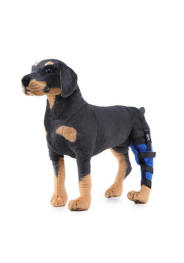 Homyl Köpek Yardımcı Kemer Koruyucu Eklemler