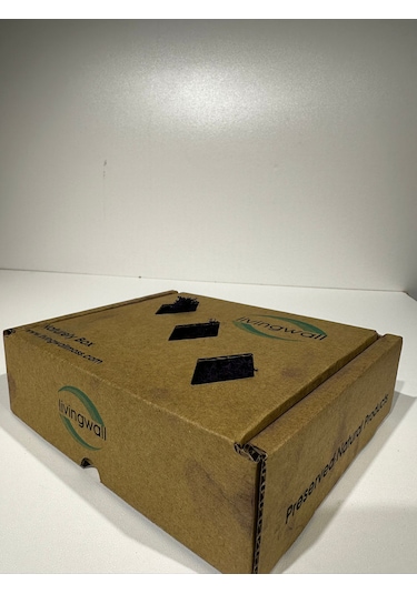 Reindermoss Şoklanmış Norveç Yosunu Terarium Yosunu Siyah 100 Gr.