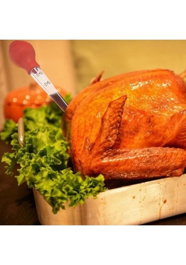 Pazly Yeşil Silikon Hindi Baharat Pompası, İğne İzgara Aleti, Temizleme Fırçası Ve Yağ Damlama Tüpü Şükran Günü Seti Yeşil