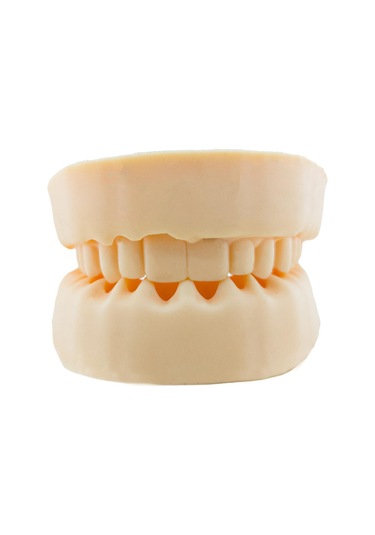 Barışhan Medikal Silikon Çene Diş Dikiş Modeli Ortodontik Alt Üst Çene Periodontal Sütür Eğitim Modeli-5