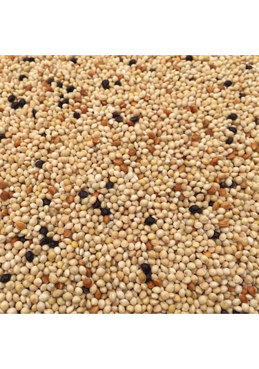 Vivid Muhabbet Kuş Yemi Karışık 1 KG