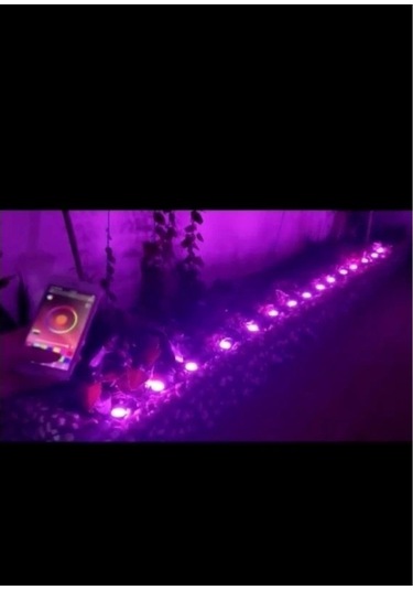 12v 10 Metre Bluetooth Özellikli Ip65 Animasyonlu Pixel Led Kazıklı Bahçe Aydınlatması Kutulu Set