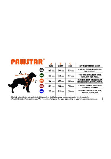 Pawstar Pineapple Büyük Köpek Gömleği Kıyafeti