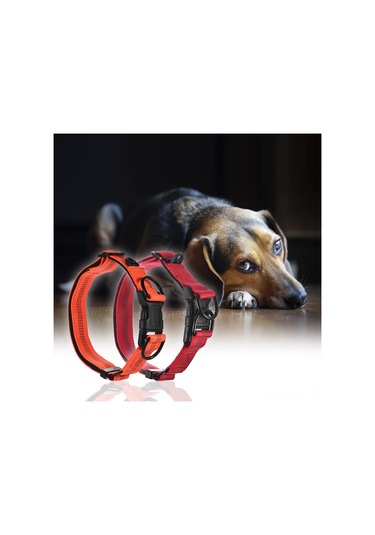 Geeroyoo Gece Görünürlüklü Ayarlanabilir Köpek Tasması - Çift Çelik Halkalı Dayanıklı Nylon, Kırmızı/turuncu Seçenekli Kırmızı