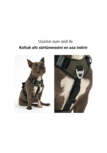 Interlaken Harness Köpek Göğüs Tasması Kırmızı Bej L Bej - Kırmızı
