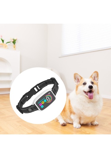 Suntek Köpek Küçük Orta Büyük Köpekler Için Şarj Beyaz