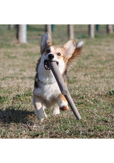 İkili Baby Köpek Oyuncağı Mavi
