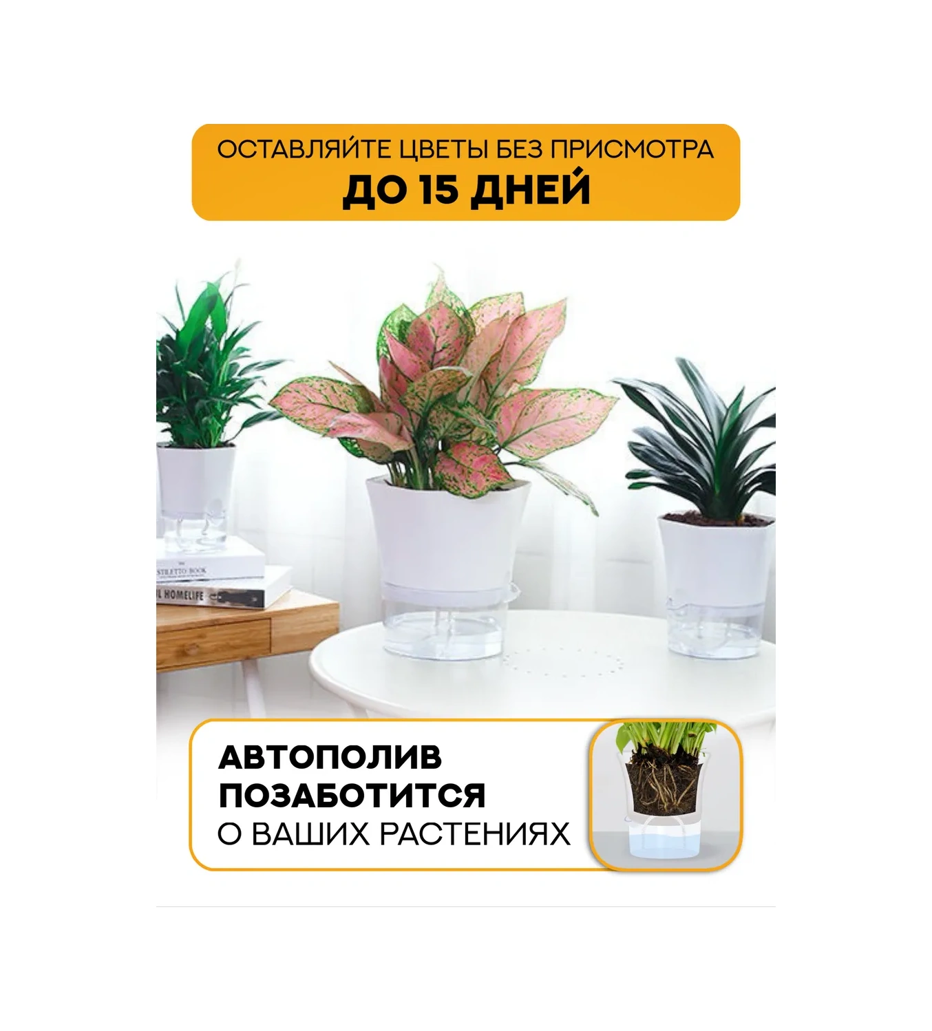 Atari Ev Bitkileri İçin Fitilli Otomatik Sulamalı Saksılar 431804619