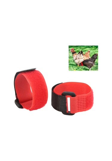 Moveevo 2 Adet Nylon Tavuk Kolyesi - Kükremeyi Azaltan, Uygun Ve Dayanıklı, Tavuk-ördek-bazı Kuşlar İçin Uyumlu