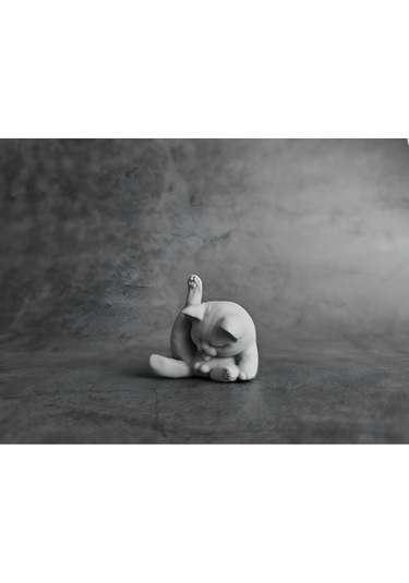 Minyatür Kedi - Kendisini Yalayan Kedi