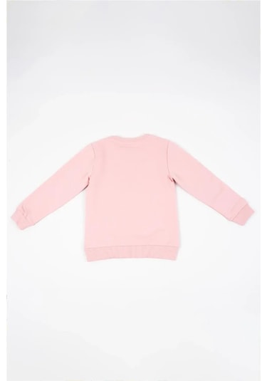 Kız Çocuk Pembe Uzun Kollu Kuş Nakış Detaylı Kışlık Sweatshirt Pembe