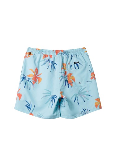 Quiksilver Aqyjv03147 Everyday Mix Volley 15 Erkek Şort Mayo 001