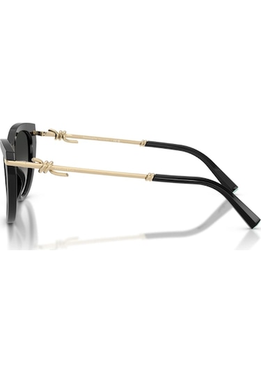 Tiffany 4253 80013c 55 Siyah