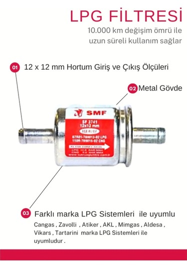 Atiker-akl-tartarini-cangas-vikars-mimgas-zavoli Uyumlu Lpg Gaz Filtresi 12x12 Mm Bakım Seti
