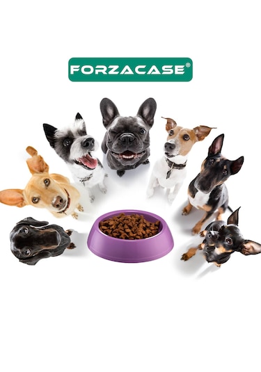 Forzacase Kedi Köpekler İçin Plastik Mama Su Kabı Fc660