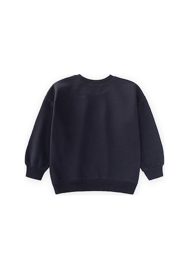 Pullu Sweatshirt 2-10 Yaş Antrasit Antrasit