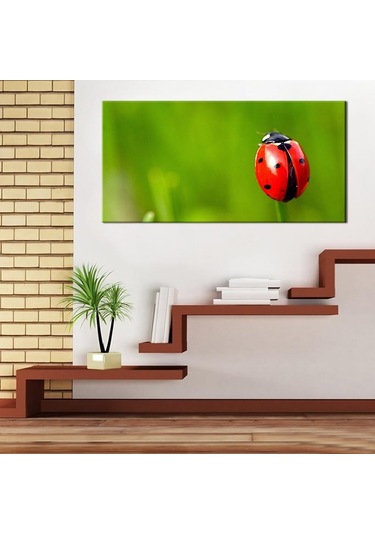 Uğur Böceği Kanvas Tablo