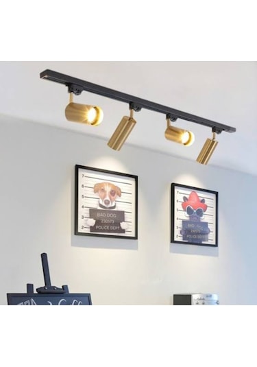 Mylights Modern 1 Mt 4 Lü Ray Spot Hareketli Aydınlatma Gün Işığı Led Ampullüdür