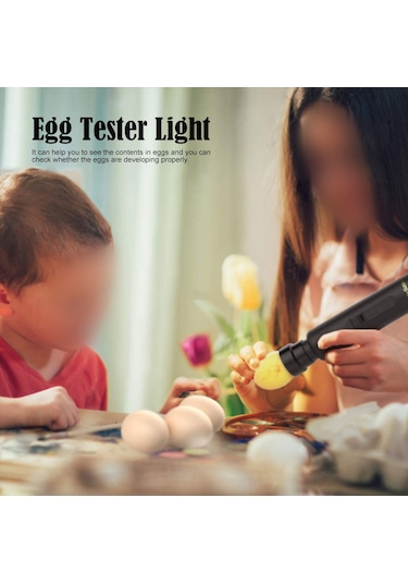 Qingmipy Led Soğuk Işık Yumurta Test Cihazı Tavuk Ördek Kaz Yumurtası Gelişim Kontrolü 100-240v Amerikan Standartı