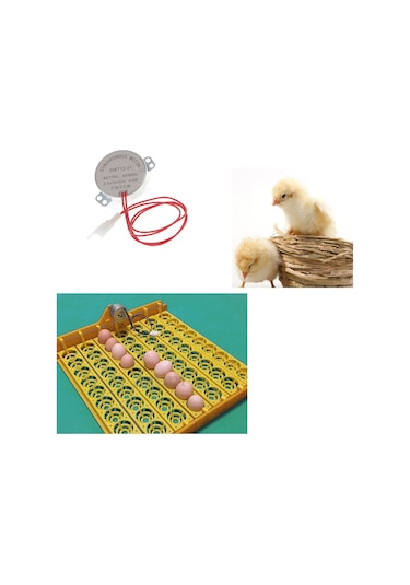Suntek Tavuk Yumurtası Kuluçka Makinesi Hatcher Brooder Ac 110v