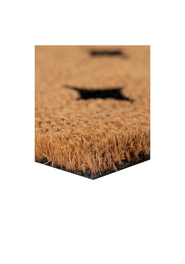 Coco Shıne Kıl Kapı Önü Paspası 40x60 3679 Natural