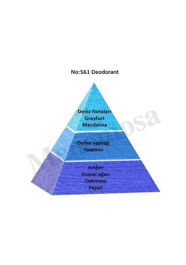 No:561 Erkek Fresh Deodorant 150ml - Mnms150no561deo