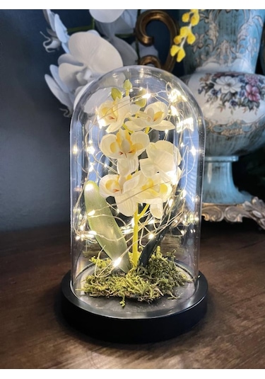 Faunus İçerisinde Işıklı Yapay Beyaz Orkide Anneler Günü Özel Hed