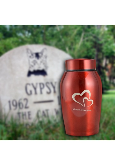 Homyl Köpekler Kediler Küller Gevşek Anıt Evcil Kırmızı Altın