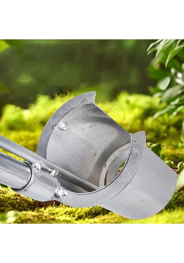 Suntek Magideal Ampul Ekici Sağlam Fide Bitkileri Çiçek Nakli Arka