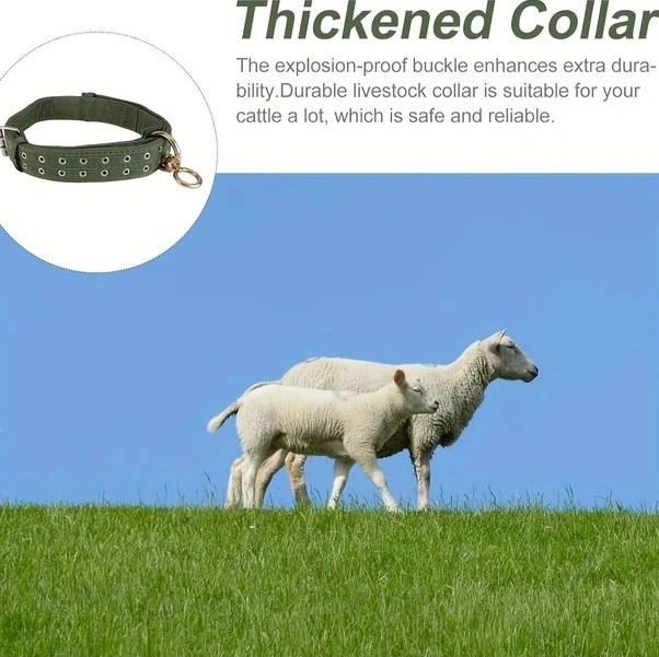 Trendooze Sunshine022 M Boynuzlu Kalın 4 Katlı Kanvas Köpek Atı Dayanıklı İp Bağlantılı Sığır Koyun