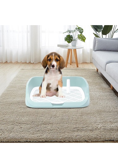 Homyl Yıkanabilir Pet Eğitim Tuvalet Tepsisi Lazımlık Yeşil