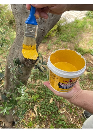 Ağaç Ve Fidan Aşı Macunu - Budama Macunu 450 Gr.