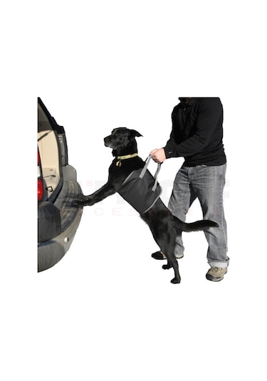 Carmind Araç Arkası Köpek Koyma Aparatı