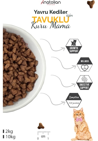 Anatolian Premium Kitten Tavuklu Yavru Kedi Maması 2 KG