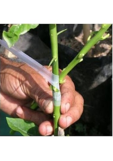 Gmt Kutulu Aşı Bandı 5 Adet