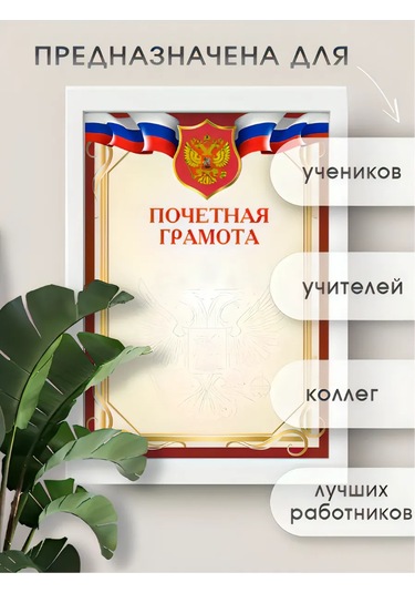 Pro Bel Arması İle Birlikte Onur Beratı 40 Parça Set 360583013