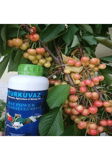 5 L Turkuvaz Bat Power Organik Sıvı Yarasa Gübresi