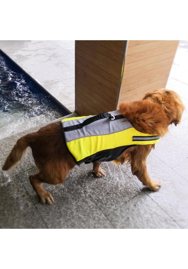 Homyl Yüzme Havuzu Köpek Için Pet Can Yeleği Koruyucu