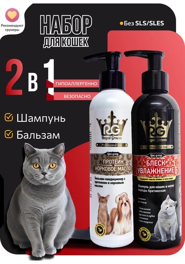 Apicenna Royal Groom Kedi Tıraş Seti 191174522