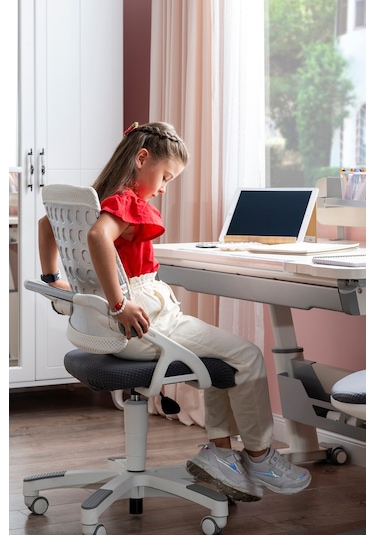 Creo Mobili Yükseklik Ve Sırt Ayarlı Sirius Çalışma Sandalyesi Ofis Ve Bilgisayar Koltuğu Mavi/mavi Gri Creo Mobili Yükseklik Ve Sırt Ayarlı Sirius Çalışma Sandalyesi Ofis Ve Bilgisayar Koltuğu Mavi/mavi Gri