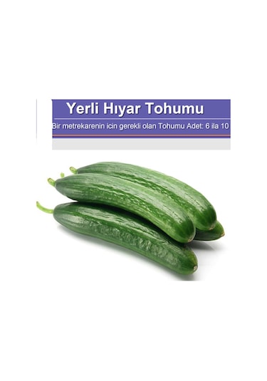 Yerli Hıyar Salatalık Tohumu 100 Adet