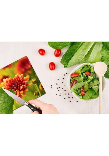 Model 200 Cam Kesme Tahtası 30 Cm X 40 Cm