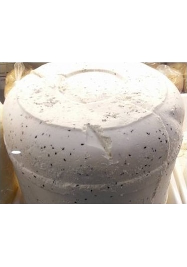 Çörek Otlu Basma Çökelek 1 KG