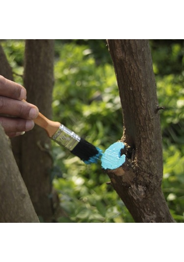 Gmt Blue-Guard Sıvı Aşı Ve Budama Macunu 250 Gr