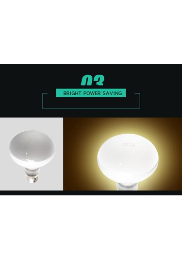 Lichen Sürüngen Isıtma Lambası, 50w E27 Uva Isıtma Lambası