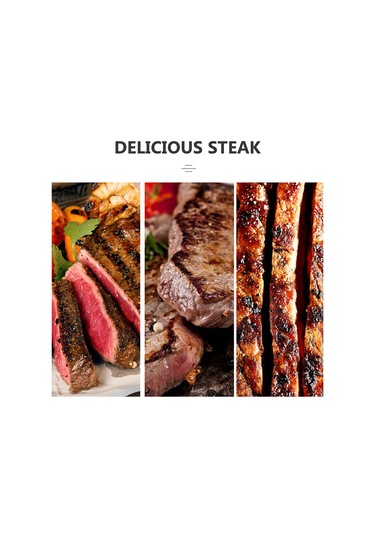 Kosona Metalik Izgara File Sıcak Tutucu, 25.7x30.7x7.7cm, 407g, Barbekü Steak Rafı Çok Renkli