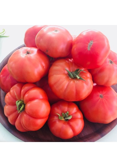 Bykurt Sunagri Köy Domatesi Tohumu - Gerçek Köy Lezzeti Kalın Kabuklu Uzun Hasat Süreli Köy Domatesi Tohumu