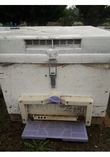 Kovan Kilidi  20 adet- Sandık Kilid 20 adeti - Kaput Kilidi - Sandık 20 adet